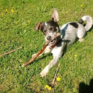 Meet your Posher, Melessa